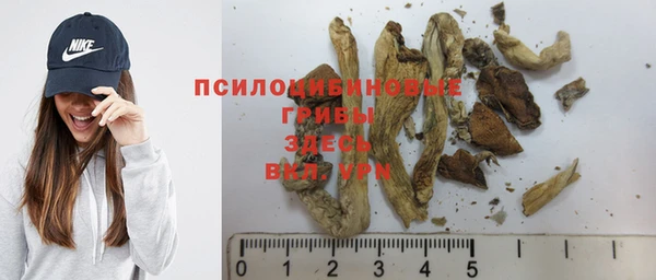 амф Абинск