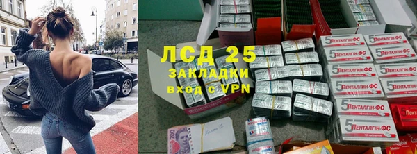 амф Абинск