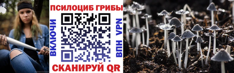 Псилоцибиновые грибы мухоморы  kraken как войти  Подольск 