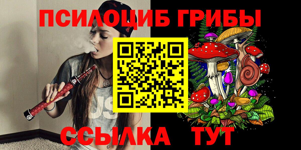Подольск  Псилоцибиновые грибы Magic Shrooms  Вход с VPN  Псилоцибиновые грибы GOLDEN TEACHER 
