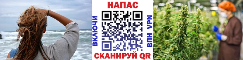 Конопля Amnesia Подольск